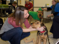 Jordan Starmer, 20, from Des Moines, pets Britt. The ARL brought dogs in to Building 5 Wednesday Dec. 4.
