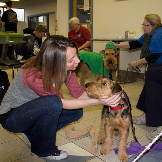 Jordan Starmer, 20, from Des Moines, pets Brit, a therapy dog. The ARL brought dogs in to Building 5 Wednesday Dec. 4 for Dog Days at DMACC.