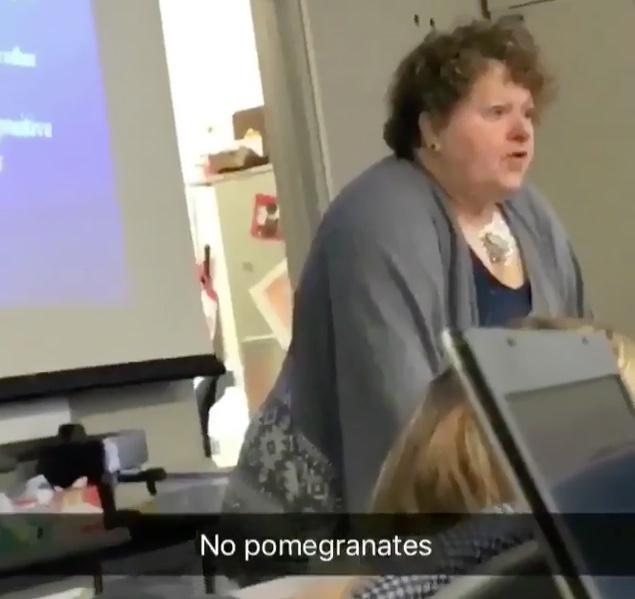 Boone professor’s “rant” goes viral The Campus Chronicle